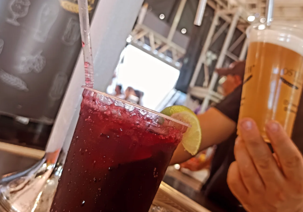 Captura de tela 2025-08-21 172456